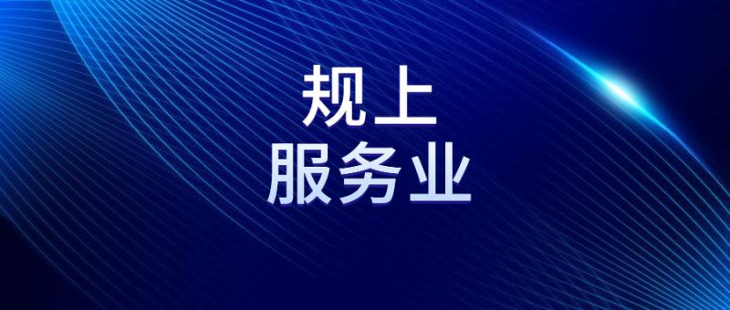 關(guān)于開展2024年規(guī)上科技服務(wù)業(yè)企業(yè)政策獎補(bǔ)申報的通知