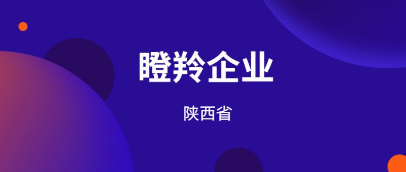 關(guān)于領(lǐng)取2024年陜西省瞪羚企業(yè)（潛在瞪羚企業(yè)）證書(shū)的通知